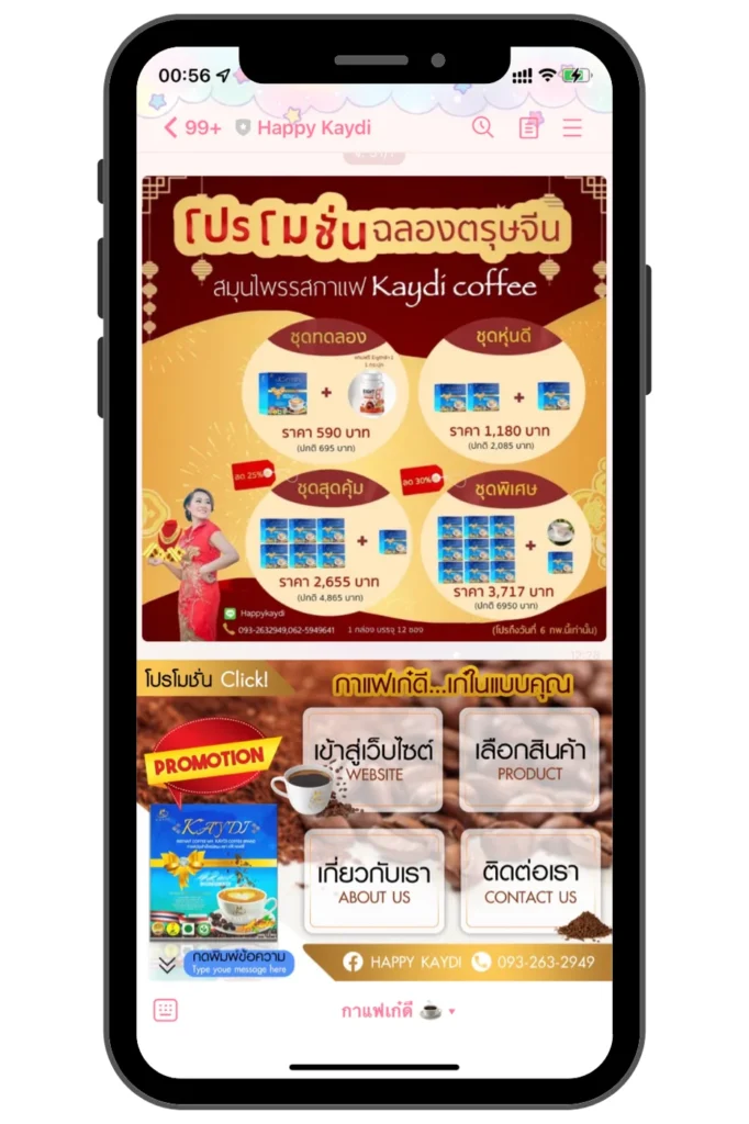 ผลงาน Happy Kaydi